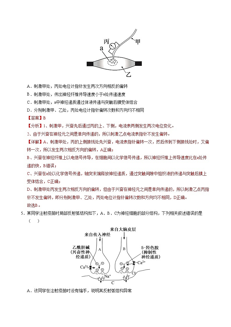 新高考高二生物上学期期中模拟卷（全解全析）（新高考通用版）（15单选+5多选+5非选择）第3页