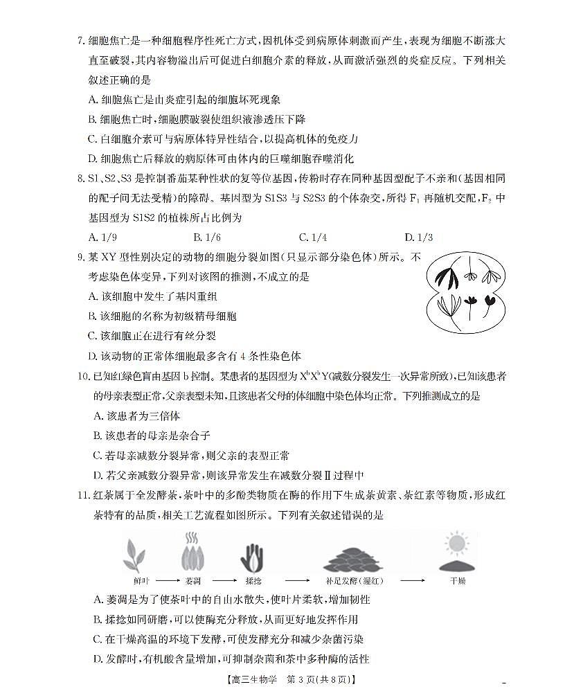 四川省2026届高三上学期10月联考生物第3页