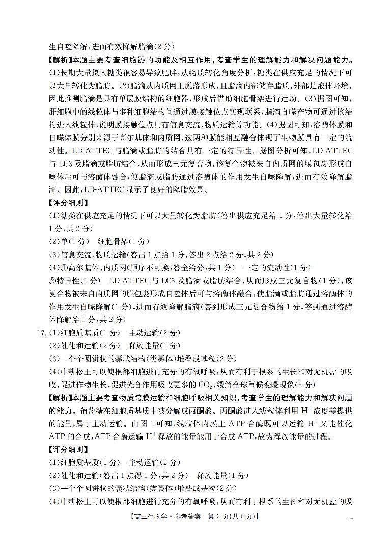 四川省2026届高三上学期10月联考生物答案第3页