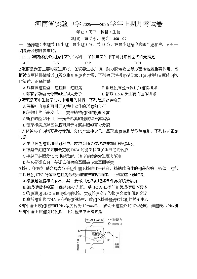 河南省实验中学2026届高三上学期第一次月考生物第1页
