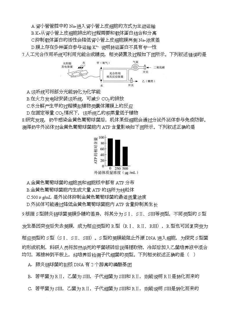 河南省实验中学2026届高三上学期第一次月考生物第2页