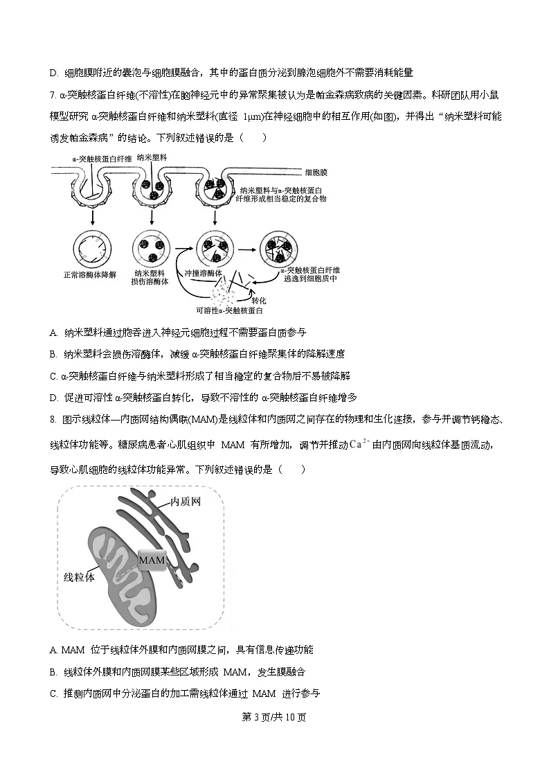 安徽省六安第二中学2026届高三上学期第二次月考生物第3页