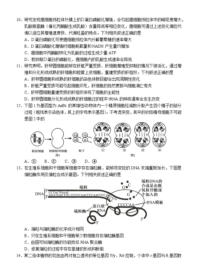 2025-2026学年度上学期高中学段高三联合考试生物学试题第3页