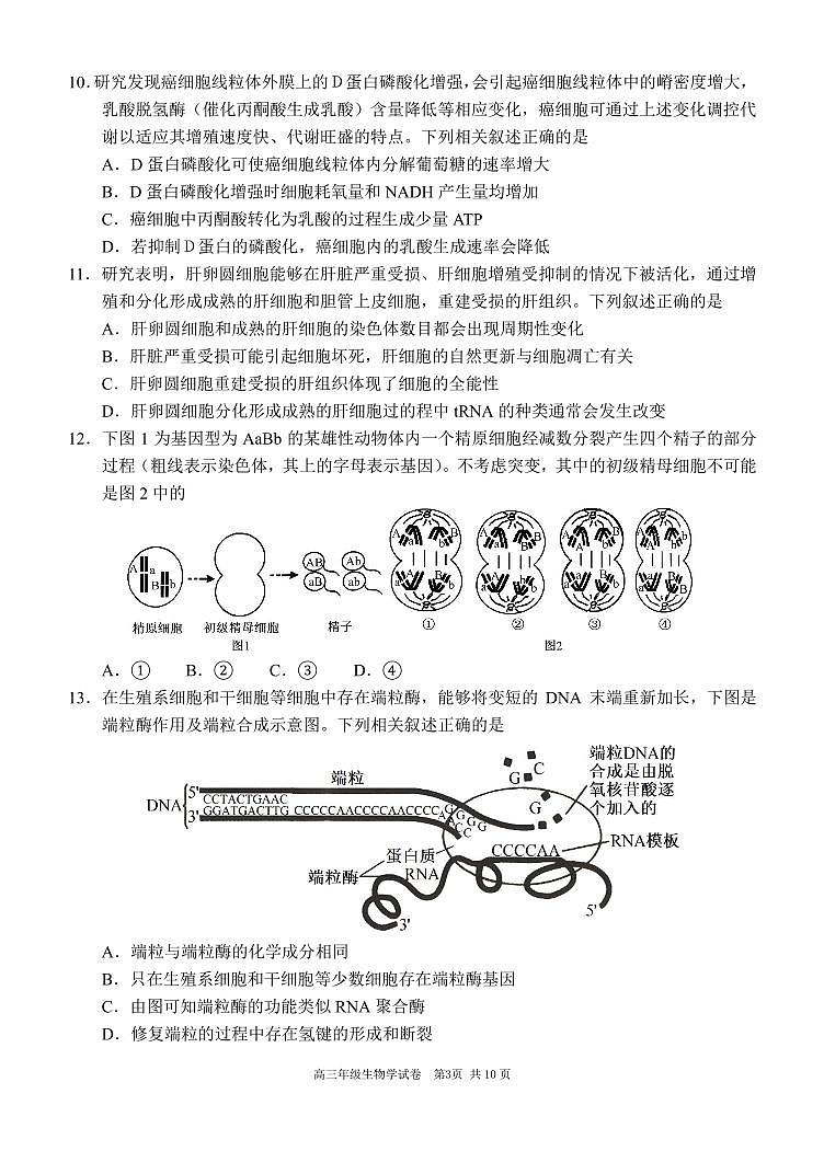 辽宁省沈阳市东北育才学校等校2025-2026学年高三上学期联合考试生物试卷第3页