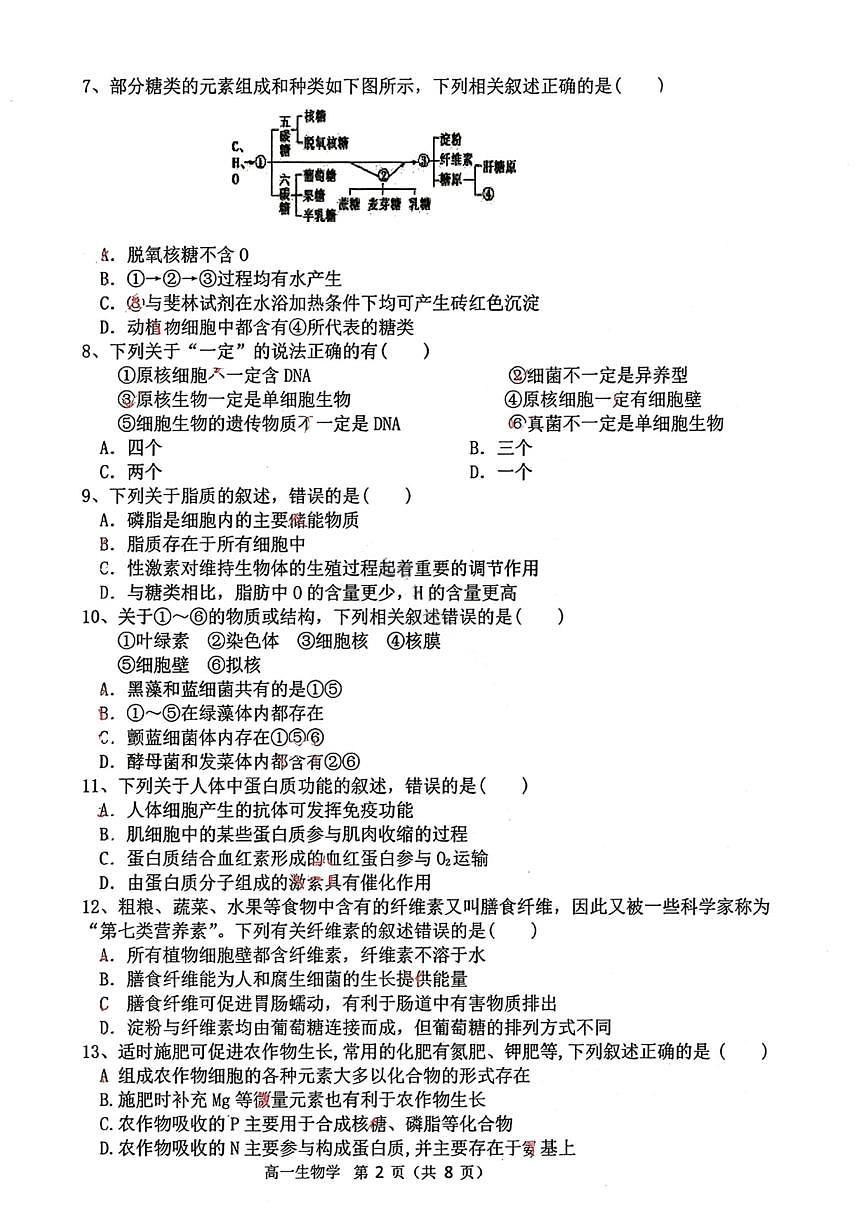 辽宁省大连市滨城高中联盟2025-2026学年高一上学期10月联考生物试题（PDF版附答案）第2页