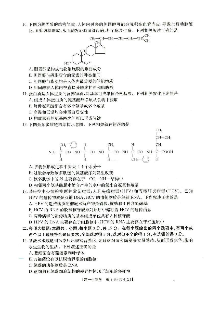 河北省保定市部分高中2025-2026学年高一上学期10月月考生物试题（PDF版附答案）第3页