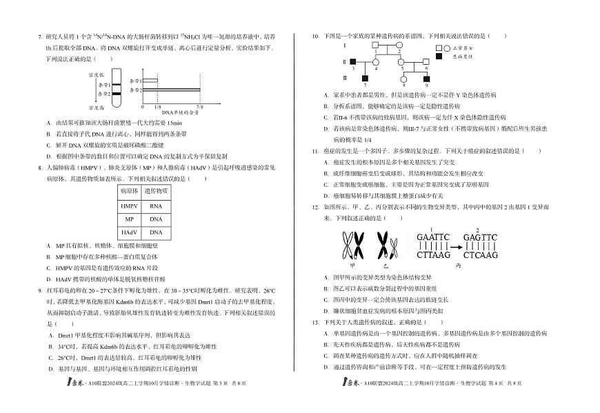 （C卷）1号卷·A10联盟2024级高二上学期10月学情诊断+生物学c第2页