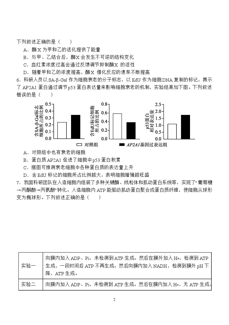 江西省南昌市第二中学2026届高三上学期月考（一）生物试题（含答案）第2页