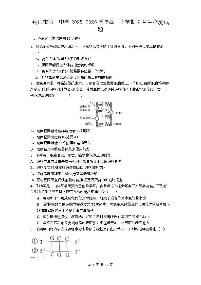 贵州省铜仁第一中学2026届高三上学期10月月考+生物试题（含答案）第1页