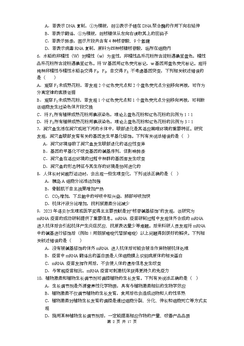 贵州省铜仁第一中学2026届高三上学期10月月考+生物试题（含答案）第2页