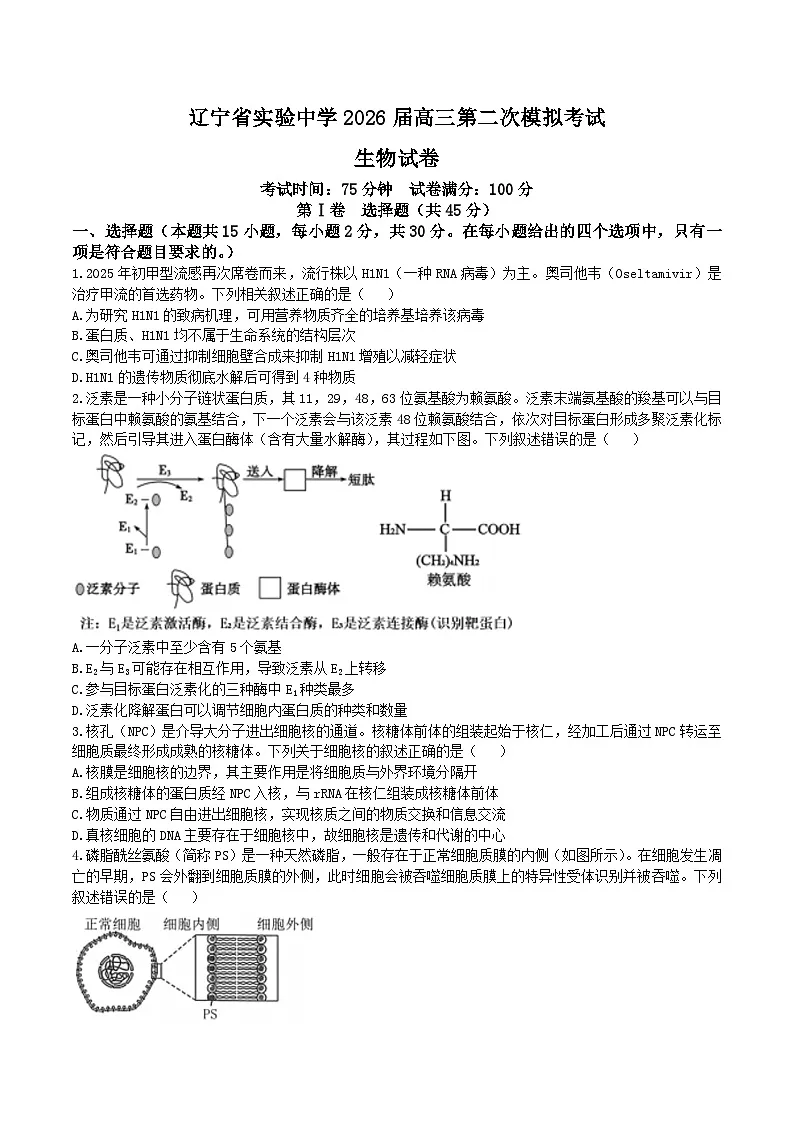 辽宁省实验中学2026届高三上学期第二次模拟考试生物试题（含答案）第1页