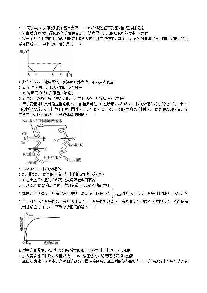 辽宁省实验中学2026届高三上学期第二次模拟考试生物试题（含答案）第2页