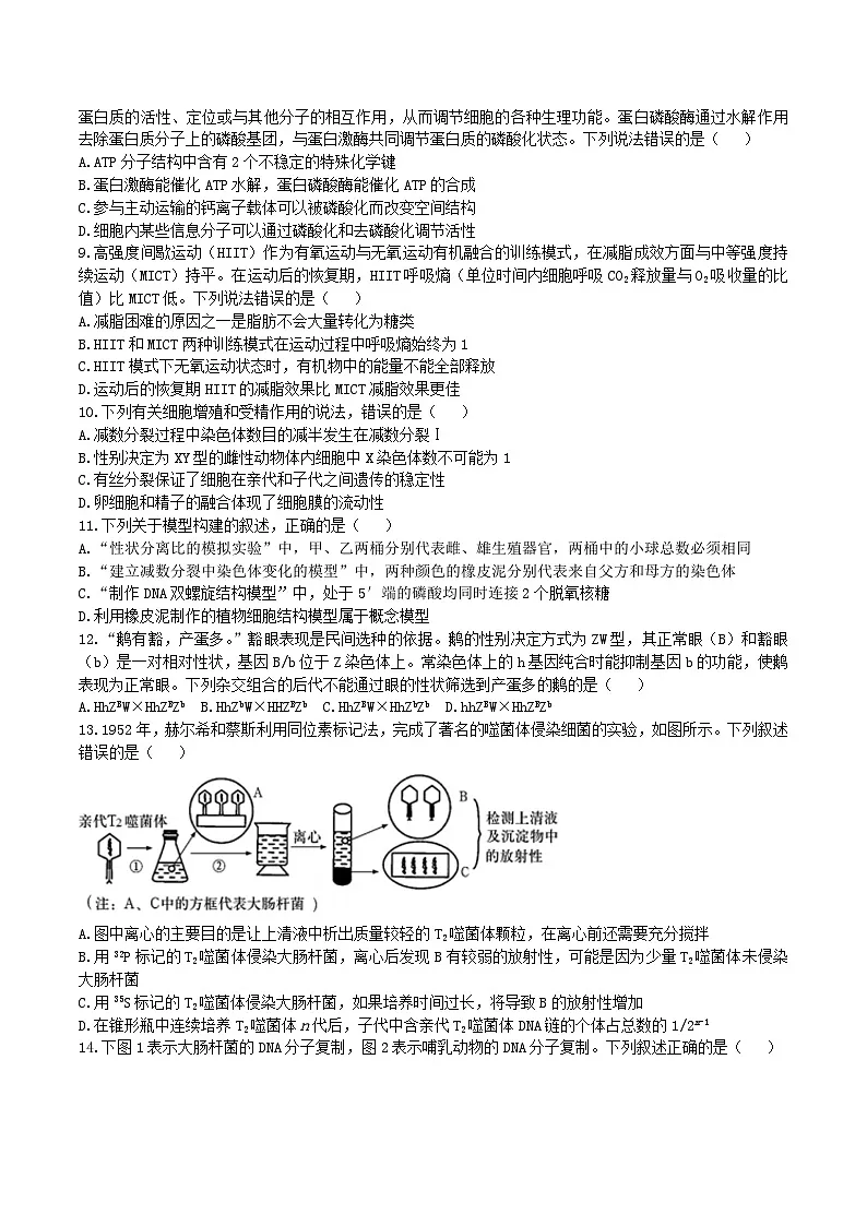 辽宁省实验中学2026届高三上学期第二次模拟考试生物试题（含答案）第3页