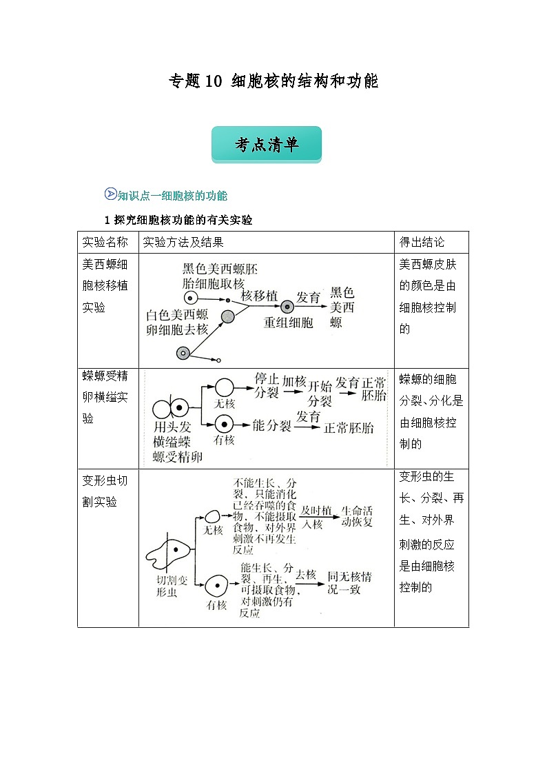 专题10 细胞核的结构和功能2024-2025学年人教版2019 高一必修一生物 期中复习（知识点+习题）（原卷版）第1页
