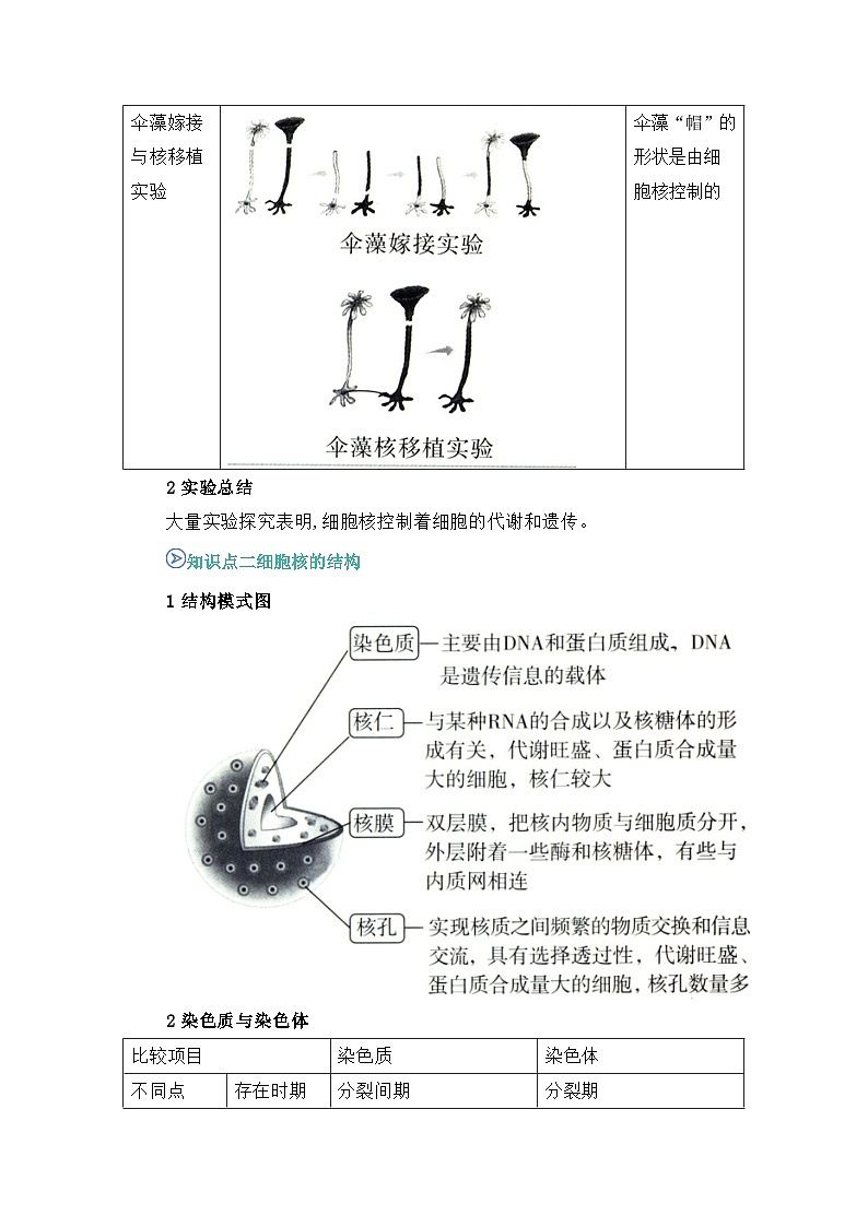 专题10 细胞核的结构和功能2024-2025学年人教版2019 高一必修一生物 期中复习（知识点+习题）（原卷版）第2页