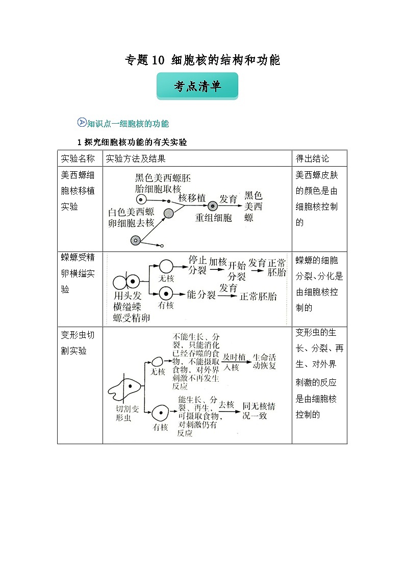 专题10 细胞核的结构和功能2024-2025学年人教版2019 高一必修一生物 期中复习（知识点+习题）（解析版）第1页