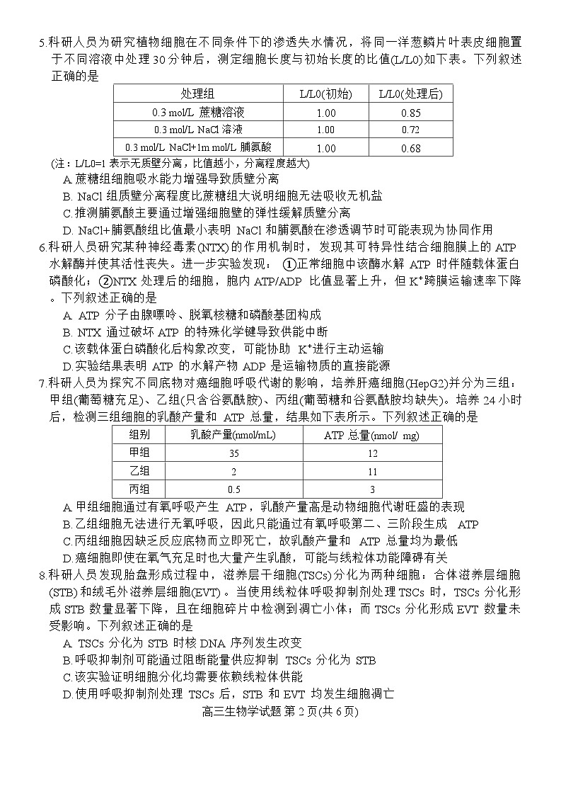 新未来联考试卷第2页
