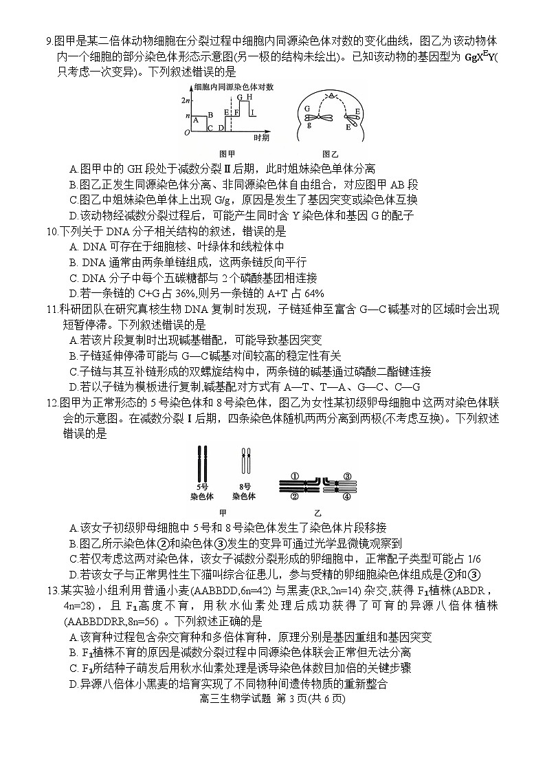 新未来联考试卷第3页