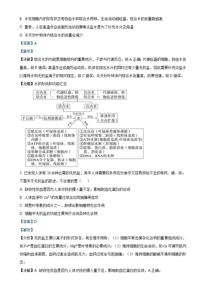 江苏省扬州市扬大附中东部分校2023-2024学年高一上学期第一次月考生物试卷（解析版）-A4第3页