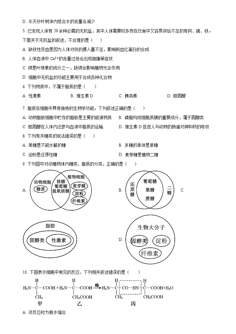 江苏省扬州市扬大附中东部分校2023-2024学年高一上学期第一次月考生物试卷（原卷版）-A4第2页