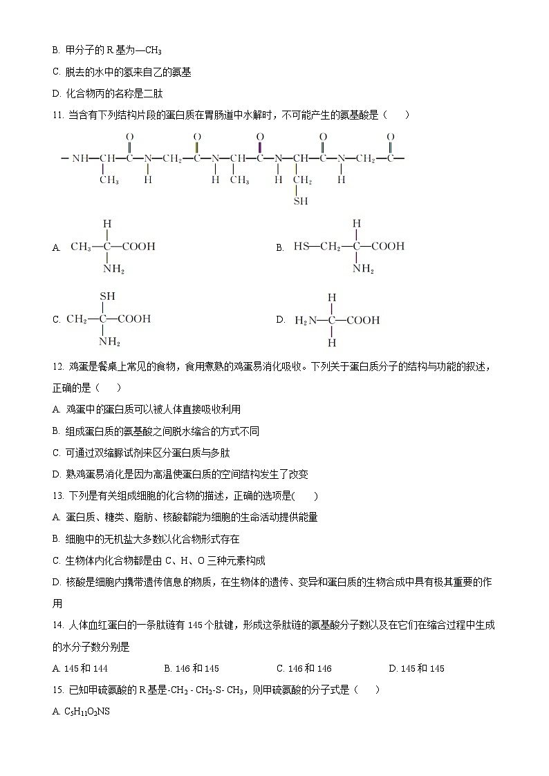 江苏省扬州市扬大附中东部分校2023-2024学年高一上学期第一次月考生物试卷（原卷版）-A4第3页