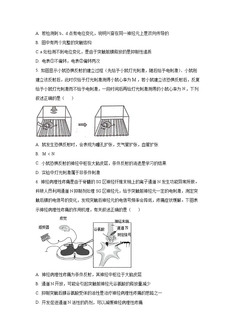 山东省潍坊市某校2025-2026学年高二上学期10月月考 生物试卷（学生版）第2页