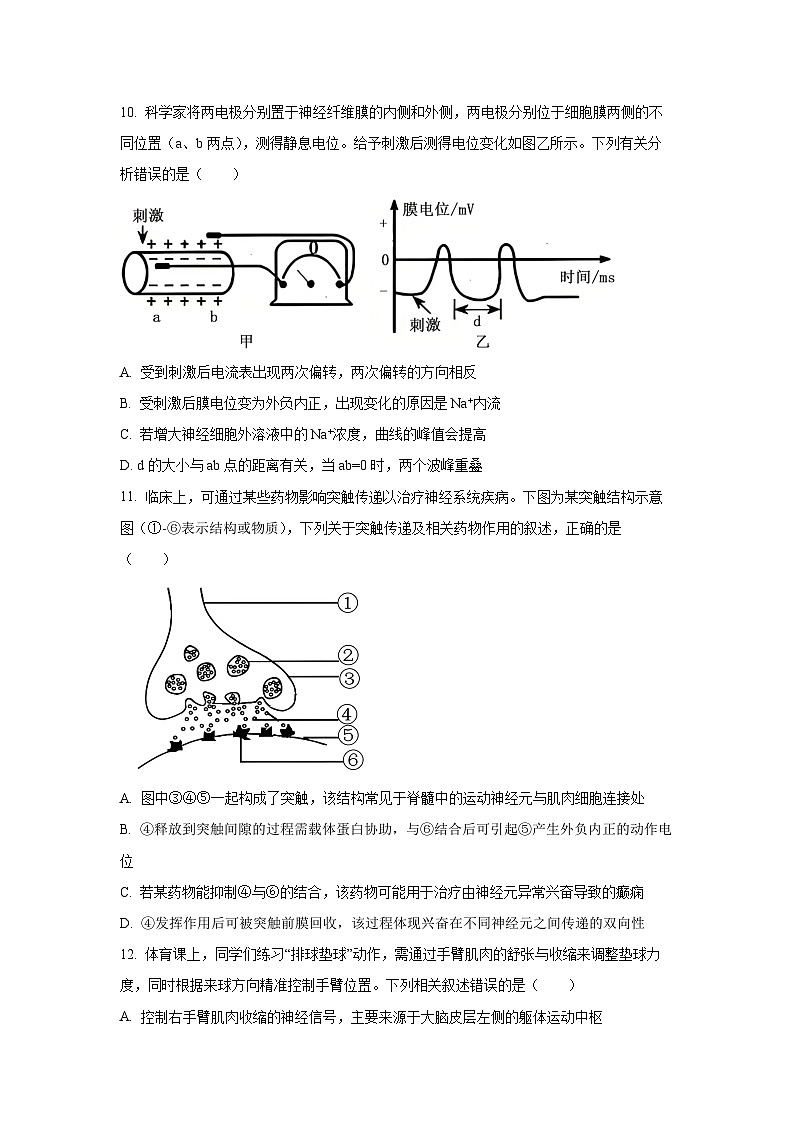 辽宁省点石联考2025-2026学年高二上学期10月月考 生物试卷（学生版）第3页