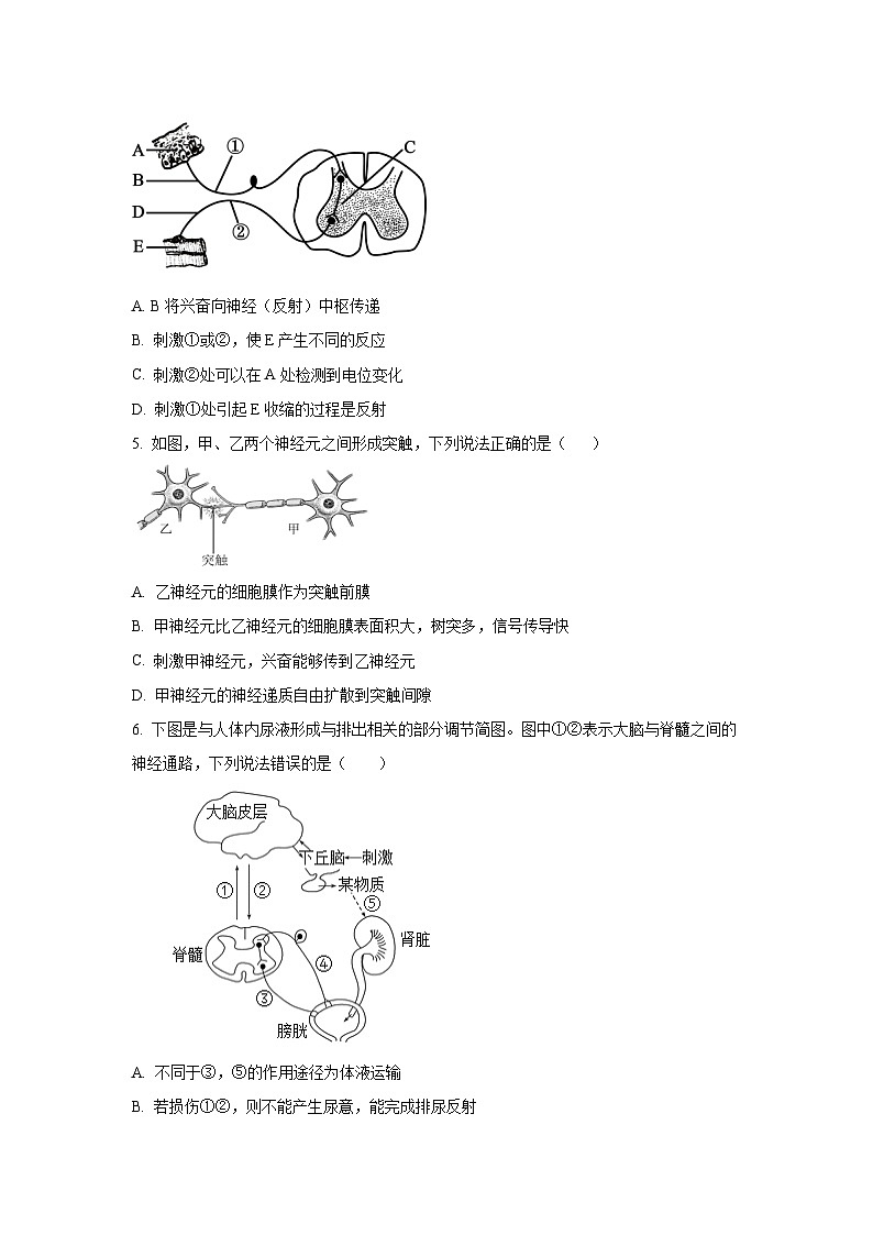 江苏省镇江市某重点高中2025-2026学年高二上学期9月质量检测 生物试卷（学生版）第2页