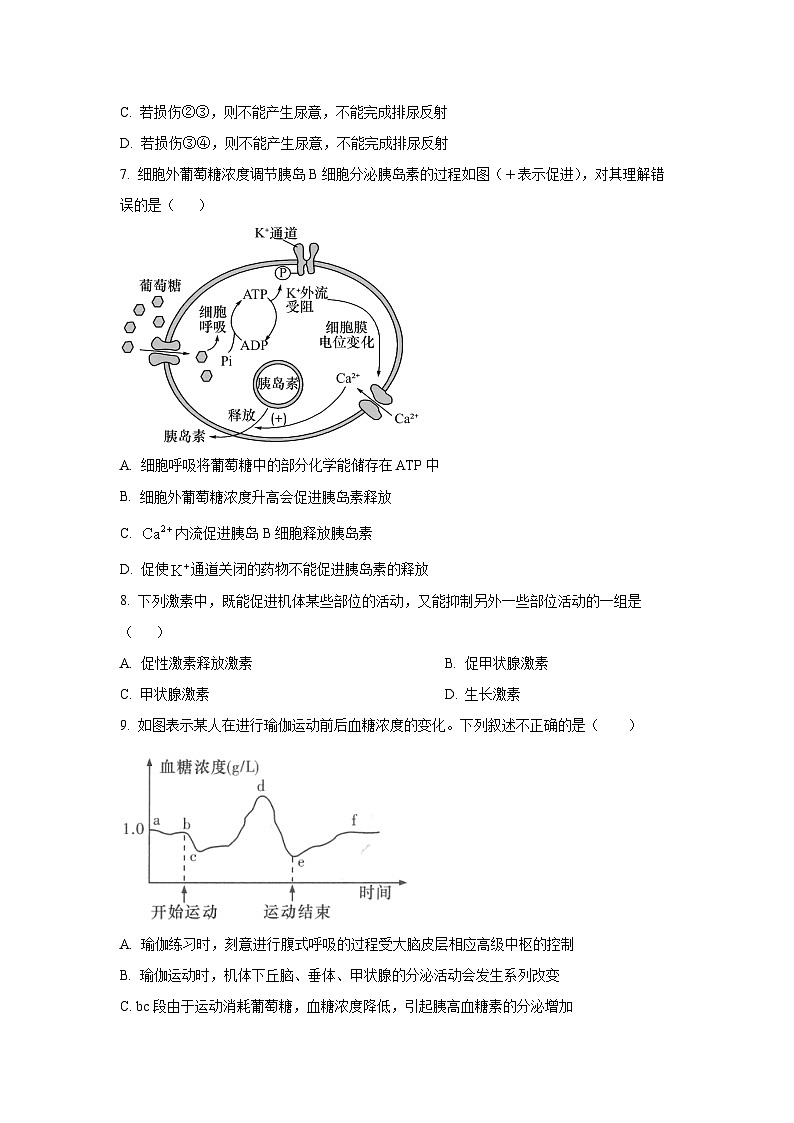 江苏省镇江市某重点高中2025-2026学年高二上学期9月质量检测 生物试卷（学生版）第3页