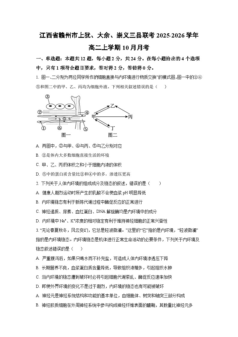 江西省赣州市上犹、大余、崇义三县联考2025-2026学年高二上学期10月月考 生物试卷（学生版）第1页