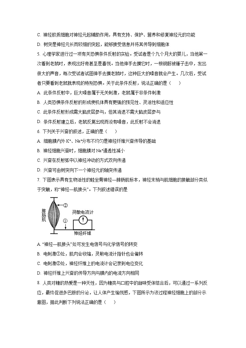 江西省赣州市上犹、大余、崇义三县联考2025-2026学年高二上学期10月月考 生物试卷（学生版）第2页