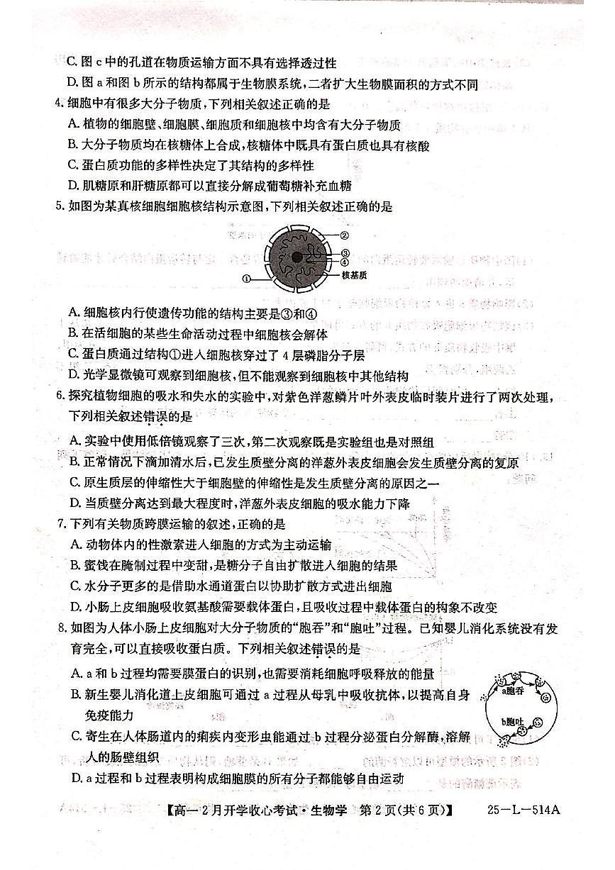 山西省晋城市山西省部分学校2024-2025学年高一下学期开学生物试题第2页