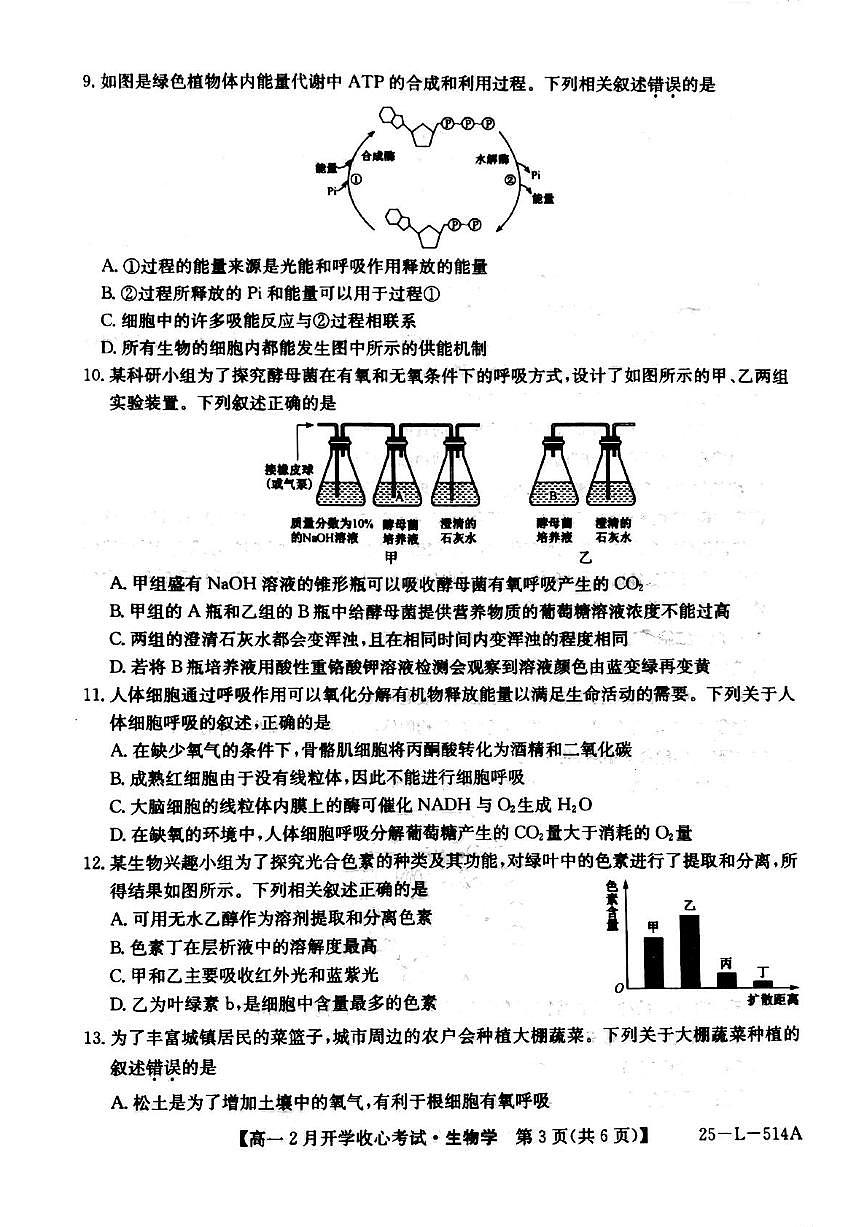 山西省晋城市山西省部分学校2024-2025学年高一下学期开学生物试题第3页