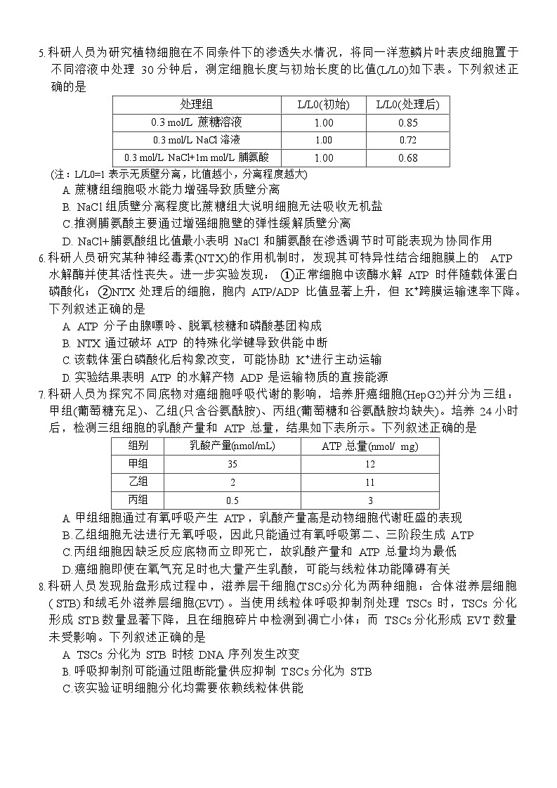 河南省新未来2025-2026学年高三上学期10月联合考试生物试卷第2页