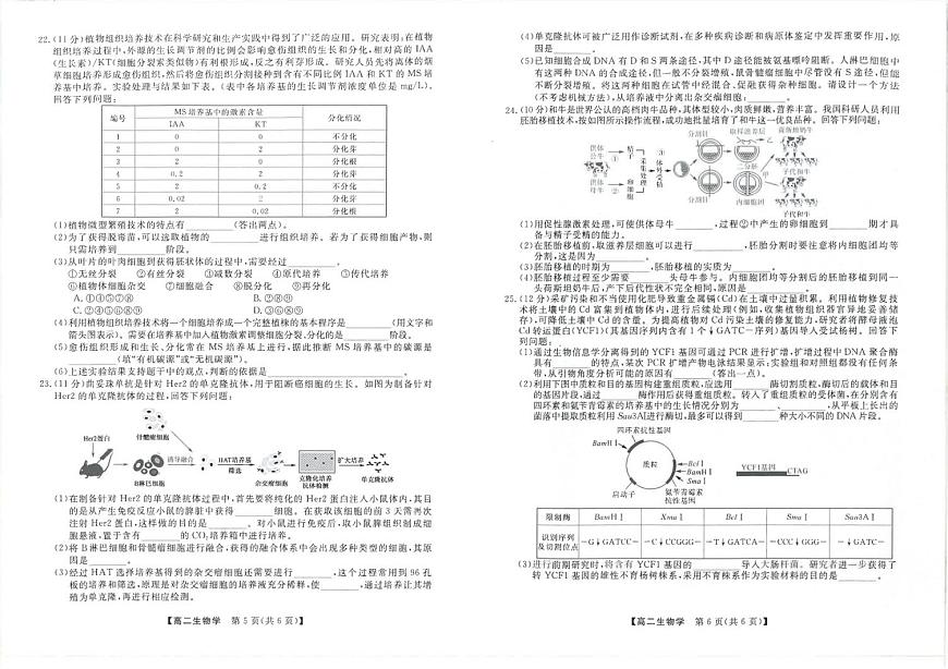 吉林省松原市2024-2025学年高二下学期期中考试生物试卷第3页