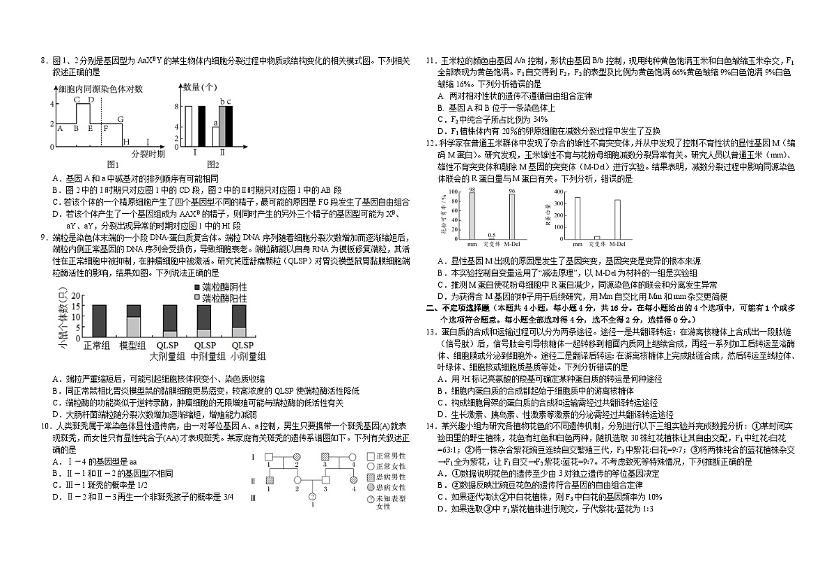 2025届高三第二次月考生物试卷第2页