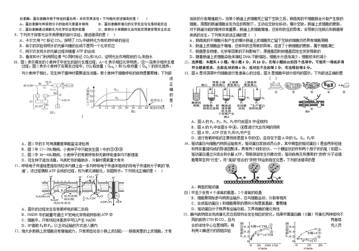 湖南省常德市第一中学2024-2025学年高三上学期第一次月考生物试题第2页