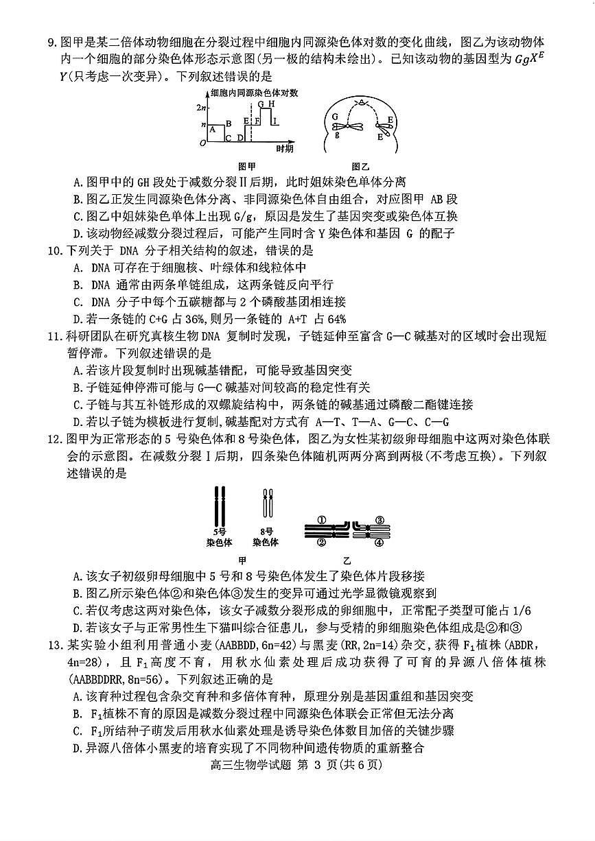 生物-河南省新未来大联考2025-2026学年高三年级上学期10月联合测评试题及答案第3页
