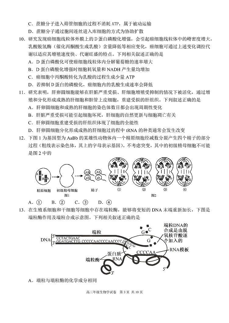 辽宁省沈阳市东北育才2026届高三上学期10月联考生物试题+答案第3页