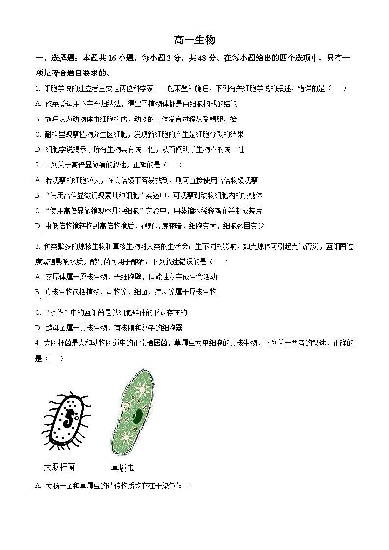 精品解析：吉林省通化市梅河口市第五中学2025-2026学年高一上学期10月月考生物试题（原卷版）第1页