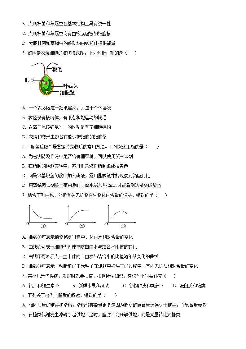 精品解析：吉林省通化市梅河口市第五中学2025-2026学年高一上学期10月月考生物试题（原卷版）第2页