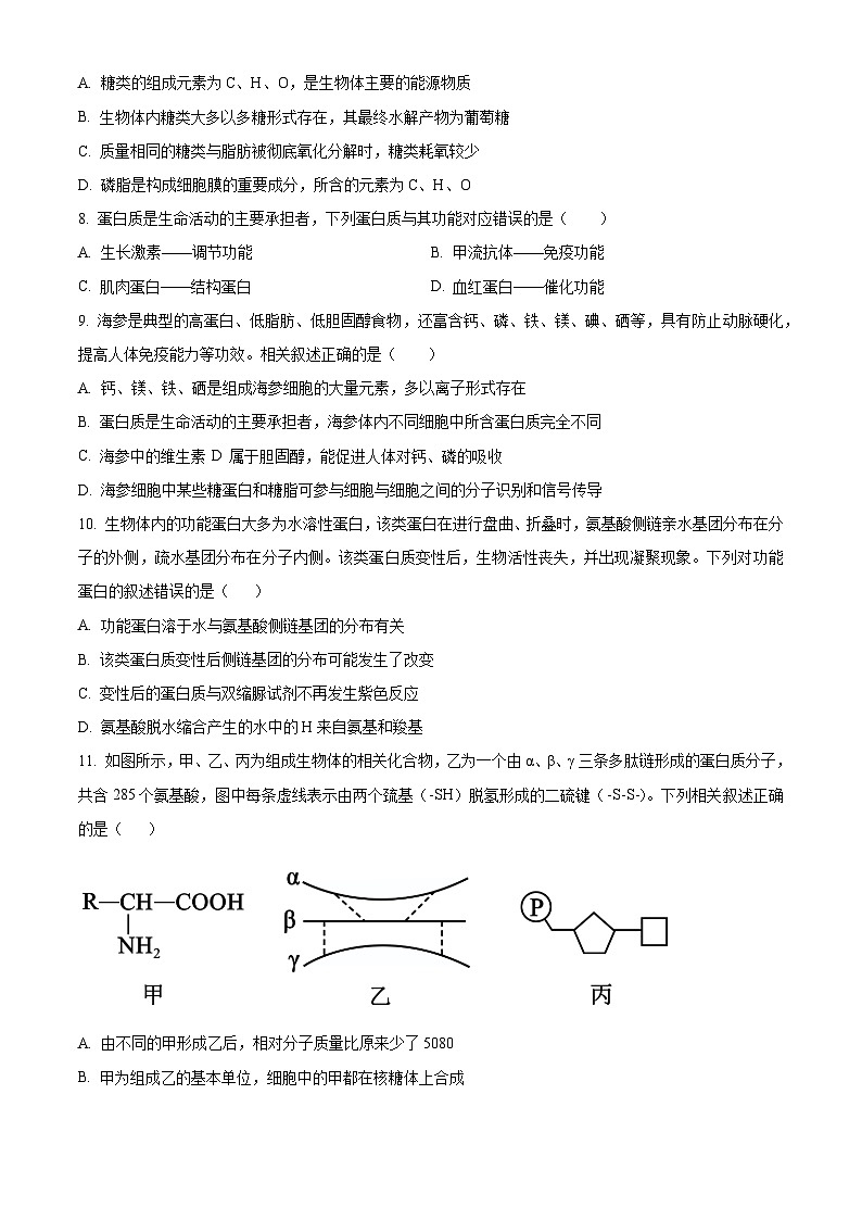 精品解析：江苏省连云港市赣榆区新海高级中学2025-2026学年高一上学期10月月考生物试题（原卷版）第3页