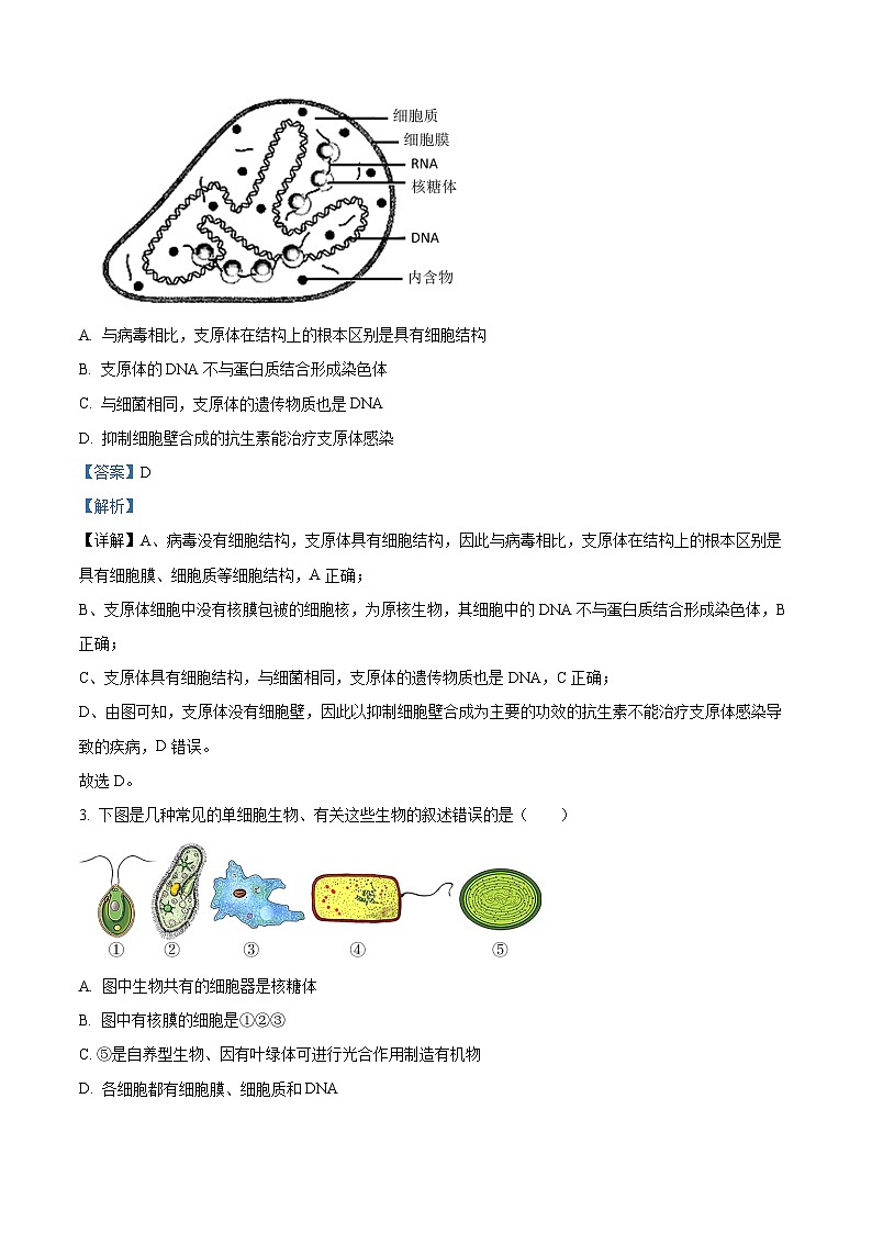 精品解析：江苏省连云港市赣榆区新海高级中学2025-2026学年高一上学期10月月考生物试题（解析版）第2页