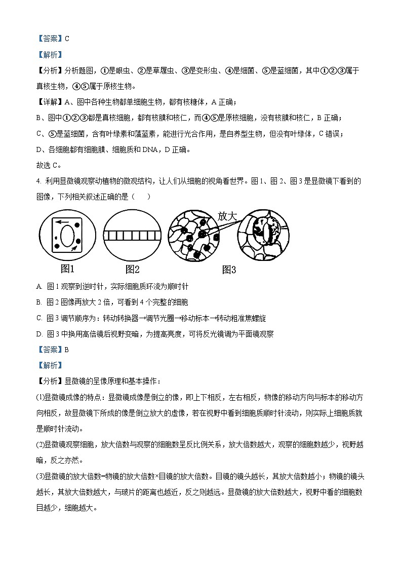 精品解析：江苏省连云港市赣榆区新海高级中学2025-2026学年高一上学期10月月考生物试题（解析版）第3页