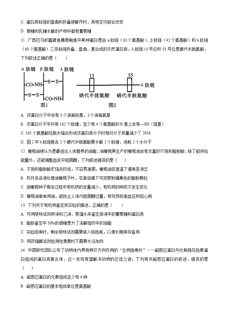 精品解析：内蒙古通辽市第一中学2025-2026学年高一上学期第一次月考生物试题（原卷版）第3页