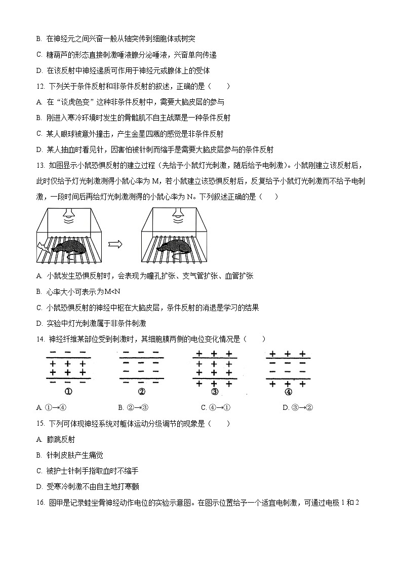 精品解析：山西省朔州市怀仁市大地学校高中部2025-2026学年高二上学期9月第一次月考生物试卷B（原卷版）第3页