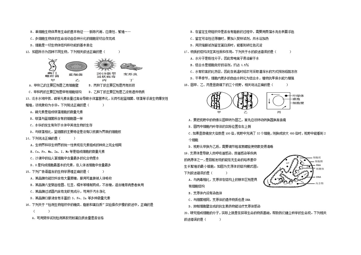 陕西省汉中市西乡县第一中学2025-2026学年高一上学期9月月考生物试题第2页
