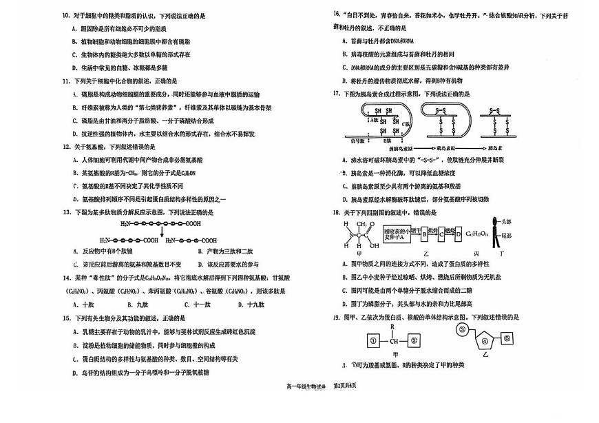 江苏省盐城中学2025-2026学年高一上学期10月第一次月考生物试题第2页