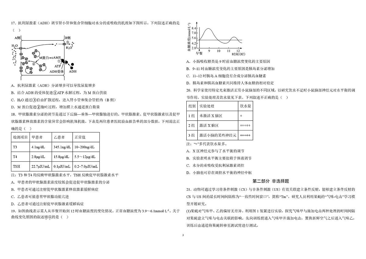 北京市怀柔区第二中学2025-2026学年高二上学期10月月考生物试卷第3页