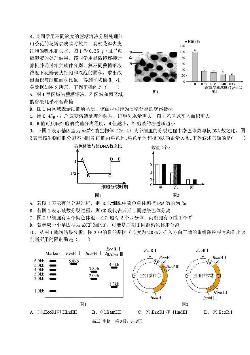 天津市北辰区第四十七中学2025-2026学年高三上学期第一次月考生物试卷第3页